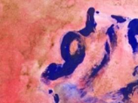 LES MOTS DITS FIG 4 ©Myriam SCHREIBER